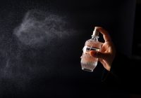 Przewodnik po świecie perfum niszowych dla początkujących Przewodnik po świecie perfum niszowych dla początkujących